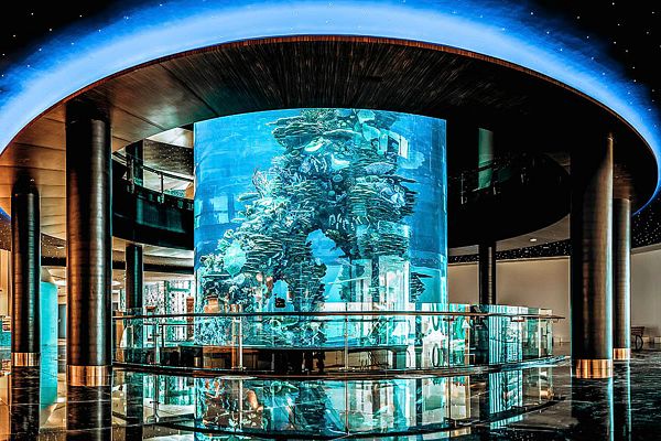 Indoor commercial saltwater aquarium exhibit with coral structure in mall.